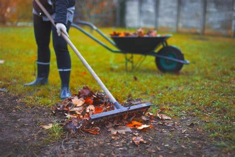 Fall yard cleanup and leaf removal